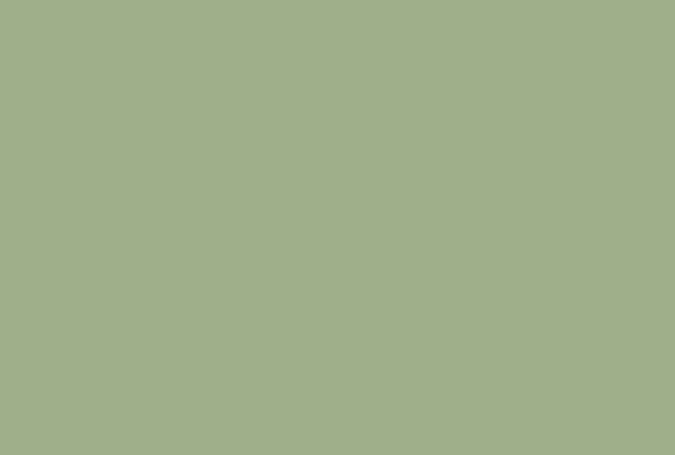 Tempotest 407/16